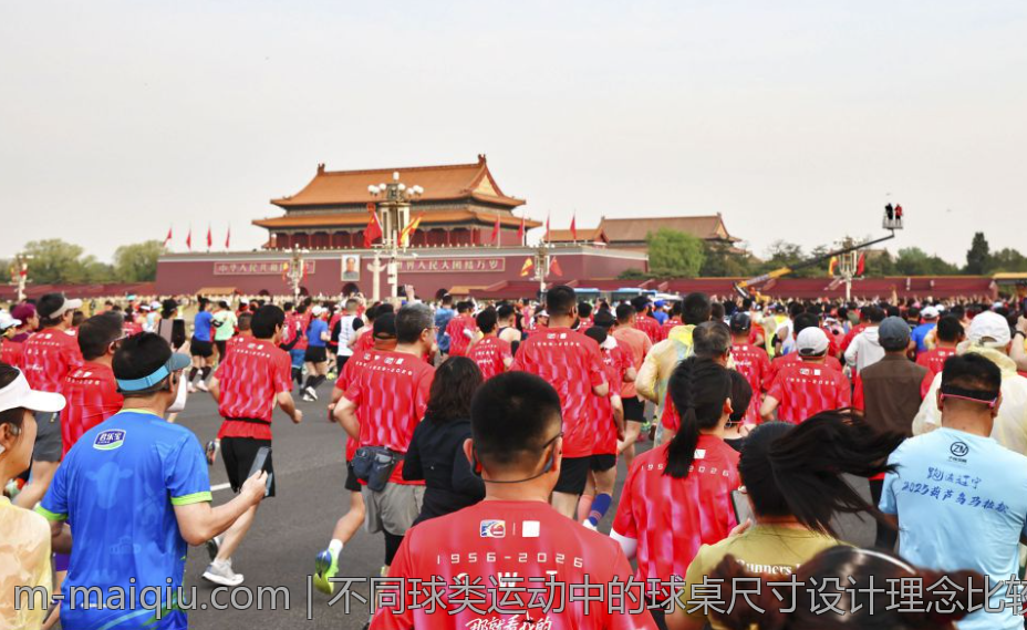 不同球类运动中的球桌尺寸设计理念比较